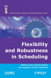 Flexibility and Robustness in Scheduling | Wiley