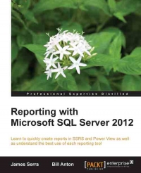 Reporting with Microsoft SQL Server 2012 | Packt Publishing